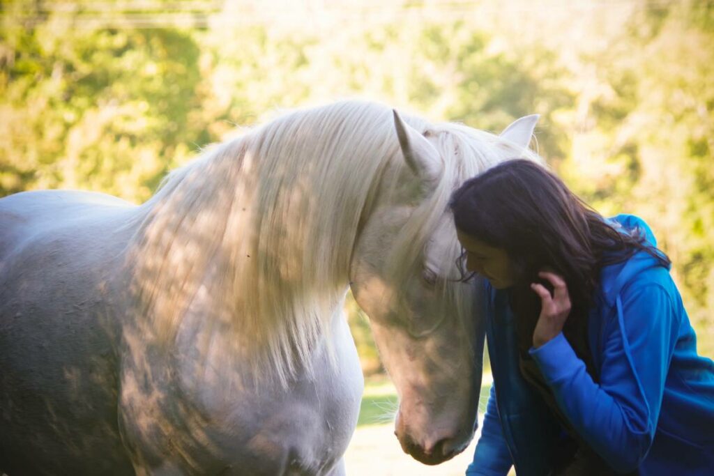 Emmanuelle Andreu communication avec un cheval